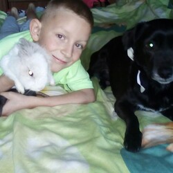 Nasze Dzieciaki Kochają Zwierzaki