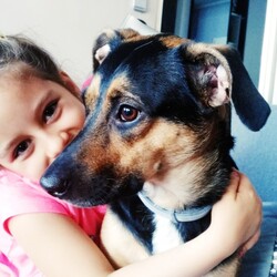 Nasze Dzieciaki Kochają Zwierzaki