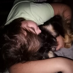 Nasze Dzieciaki Kochają Zwierzaki