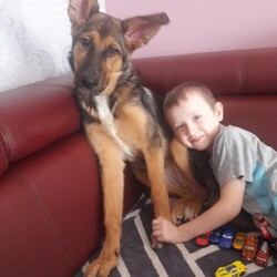 Nasze Dzieciaki Kochają Zwierzaki