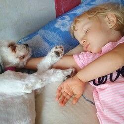 Nasze Dzieciaki Kochają Zwierzaki