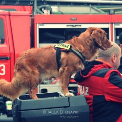 Koncert charytatywny dla OSP