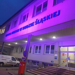 Światowy Dzień Wcześniaka