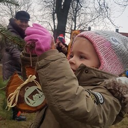 Strojenie choinki na plantach