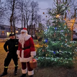 Strojenie choinki na plantach