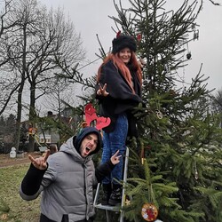 Strojenie choinki na plantach