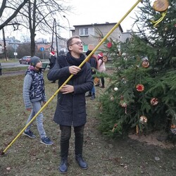 Strojenie choinki na plantach