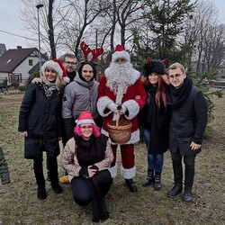 Strojenie choinki na plantach