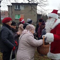 Strojenie choinki na plantach