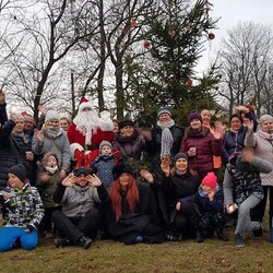 Strojenie choinki na plantach