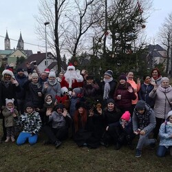 Strojenie choinki na plantach