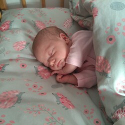 Najfajniejszy Bobas 2019