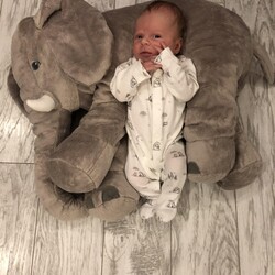 Najfajniejszy Bobas 2019