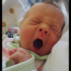 Najfajniejszy Bobas 2019