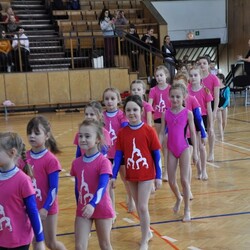 Walentynkowe Zawody Akrobatyczne