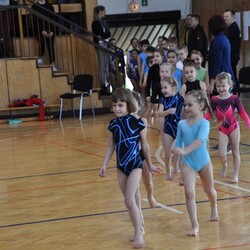 Walentynkowe Zawody Akrobatyczne