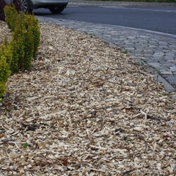 Miasto walczy z suszą