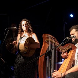 Festiwal PolskaEire 2020