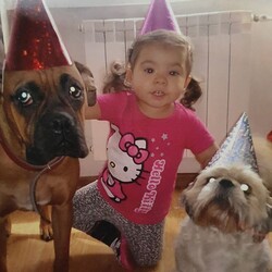 Światowy Dzień Zwierząt