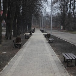 Planty w Kochłowicach