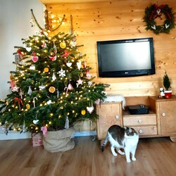 Świąteczny klimat w rudzkich domach