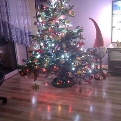 Świąteczny klimat w rudzkich domach