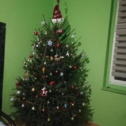 Świąteczny klimat w rudzkich domach