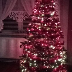 Świąteczny klimat w rudzkich domach