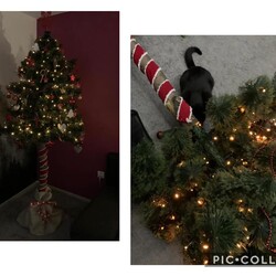 Świąteczny klimat w rudzkich domach