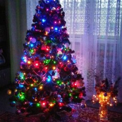 Świąteczny klimat w rudzkich domach