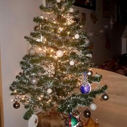 Świąteczny klimat w rudzkich domach