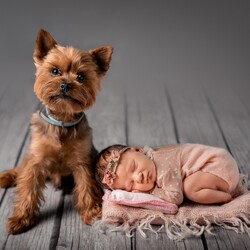 Najfajniejszy Bobas 2020