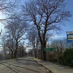 Objazd przez Rudzką Kuźnicę