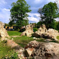 Zamek rudzki i dom Goduli