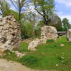 Zamek rudzki i dom Goduli