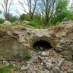 Zamek rudzki i dom Goduli