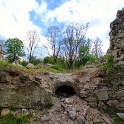 Zamek rudzki i dom Goduli