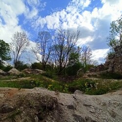 Zamek rudzki i dom Goduli