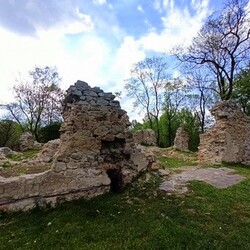 Zamek rudzki i dom Goduli