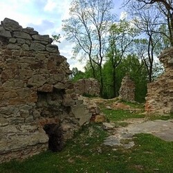 Zamek rudzki i dom Goduli