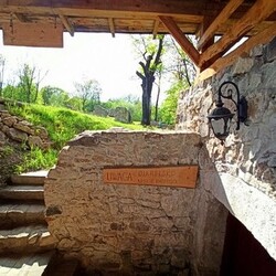 Zamek rudzki i dom Goduli