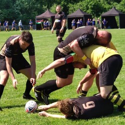 Gryfy zagrały w siódemki