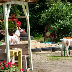 AKUKU w Rudzie Śląskiej