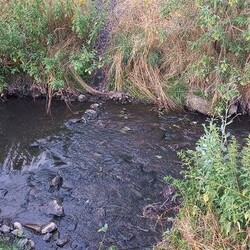 kontener w Kochłówce