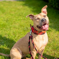 Światowy Dzień Zwierząt