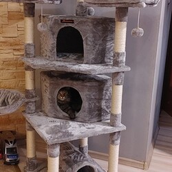 Światowy Dzień Zwierząt