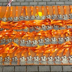 Bieg Wiewiórki w listopadzie