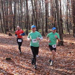Bieg Wiewiórki w listopadzie