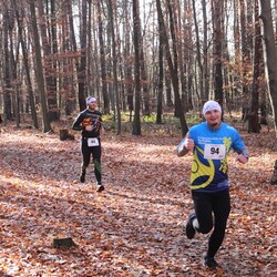 Bieg Wiewiórki w listopadzie