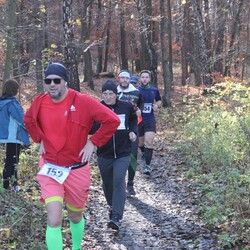 Biegi Niepodległości